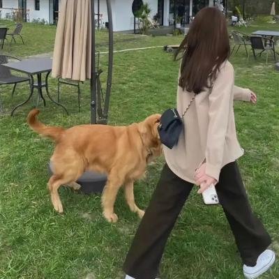 乐园春梦